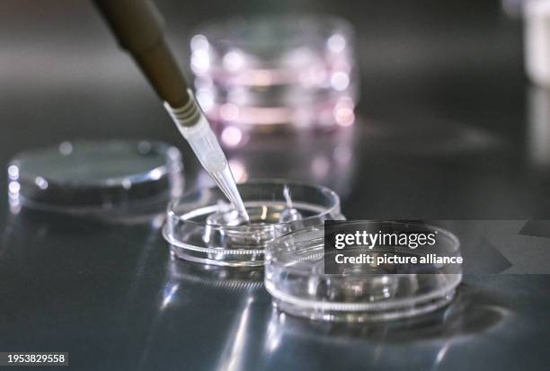 Ivf Lab Cook 5,059 Ivf Stock Photos, High-Res Pictures, and Images - Getty Images