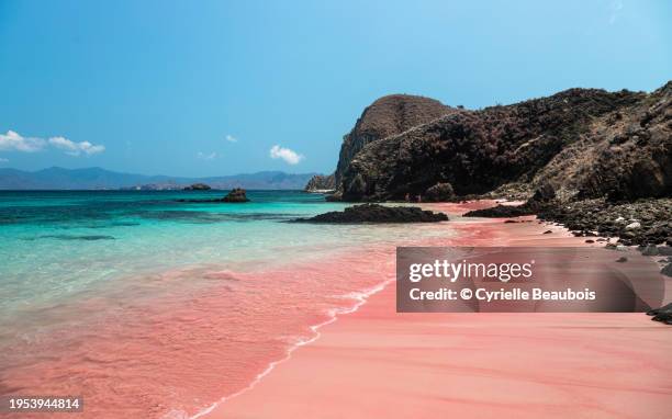 pink beach - indonesia stock pictures, royalty-free photos & images