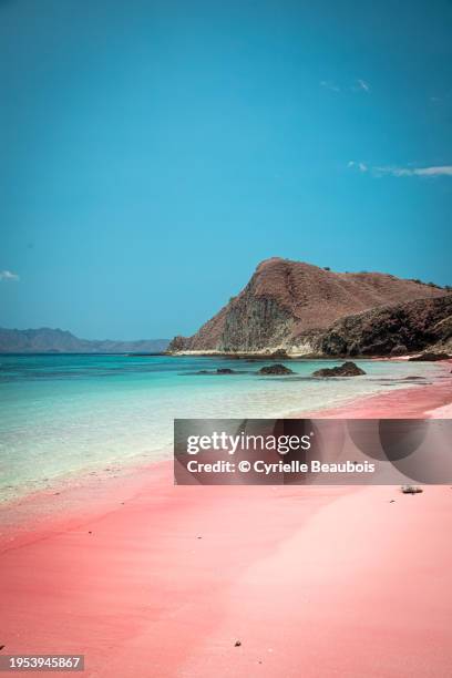 pink beach - flores island indonesia stock pictures, royalty-free photos & images