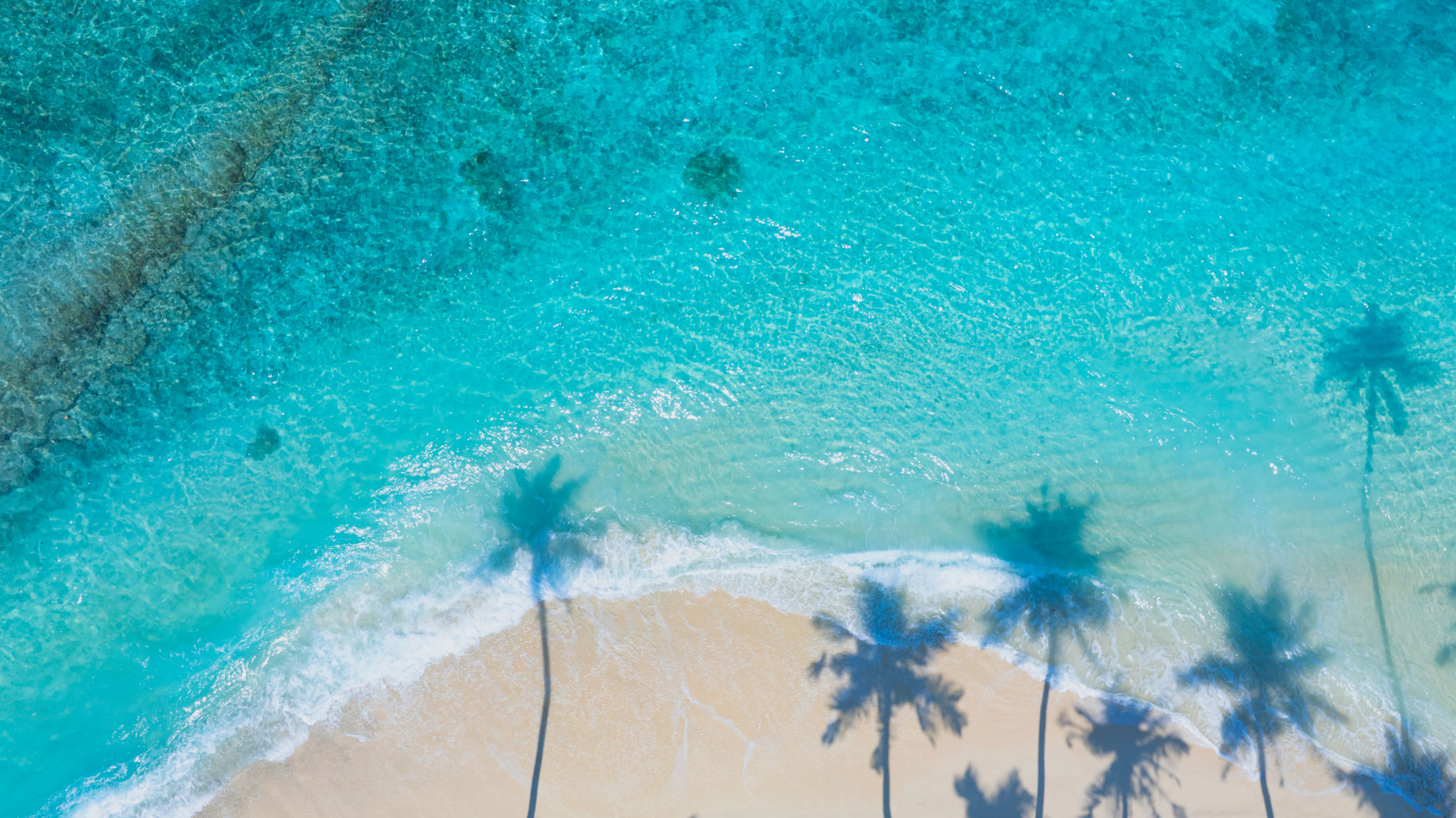 bali drone