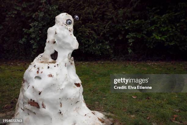 melting snowman with googly eyes and a humorous pose standing in a domestic garden in wintertime. - melted snowman stock-fotos und bilder