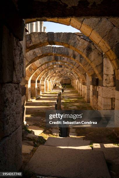 catacombs and old ruins, izmir, turkey - ancient rome food stock pictures, royalty-free photos & images