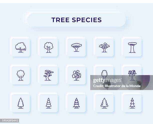 tree species line icons - willow tree stock illustrations