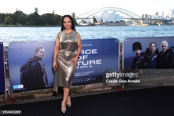 Sisi Stringer Rack 406 Sisi Stringer Photos & High Res Pictures - Getty Images