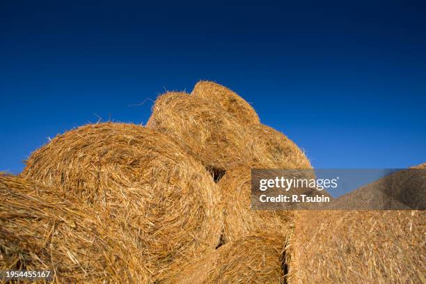 piled hay bales on a field against blue sky - stubble texture stock pictures, royalty-free photos & images