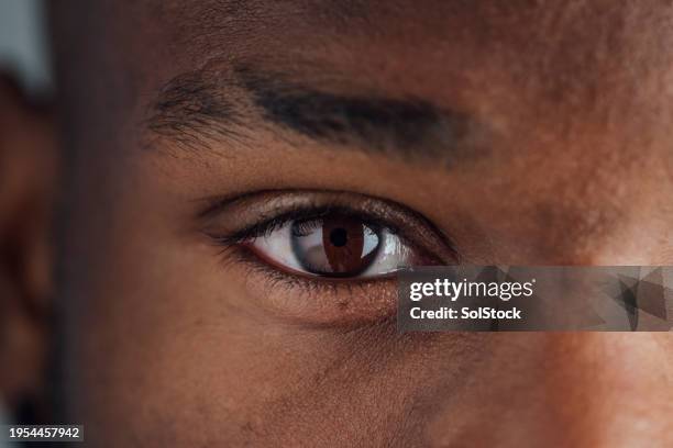 close up brown eye - eye bildbanksfoton och bilder