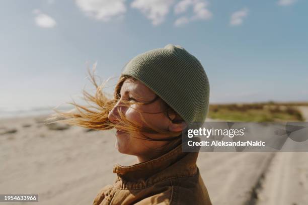 Windy Rouse 21,456 Windy Day Beach Stock Photos, High-Res Pictures, and Images ...