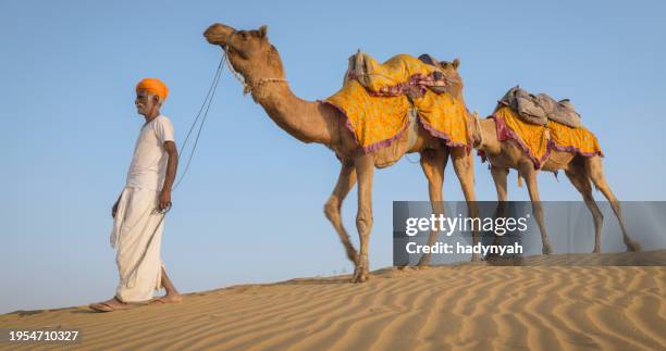 indian man with camels on sand dunes, rajasthan, india - beduino fotografías e imágenes de stock