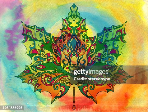 Maple leaf rainbow Maple leaf rainbow
