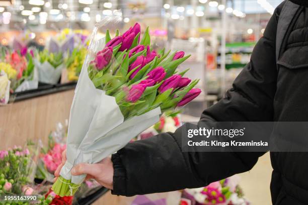 tulips - world kindness day stock pictures, royalty-free photos & images