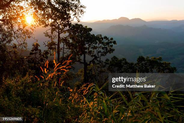 View from the Mae Hong Son Loop on the route from Mae Hong Son to Pai on November 11, 2022 in Pai, Thailand.