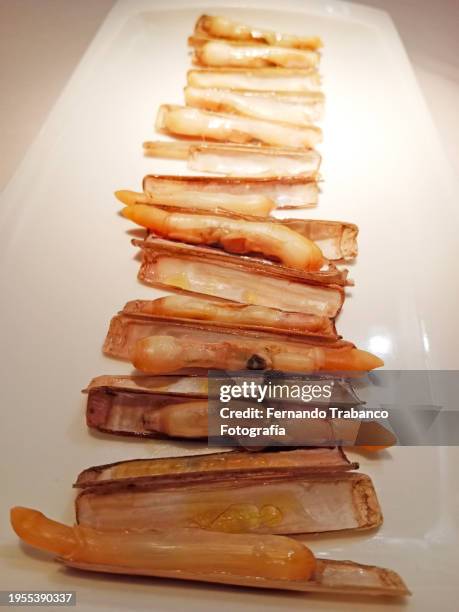 Razor Shell Food 128 European Razor Clam Stock Photos, High-Res Pictures, and Images ...