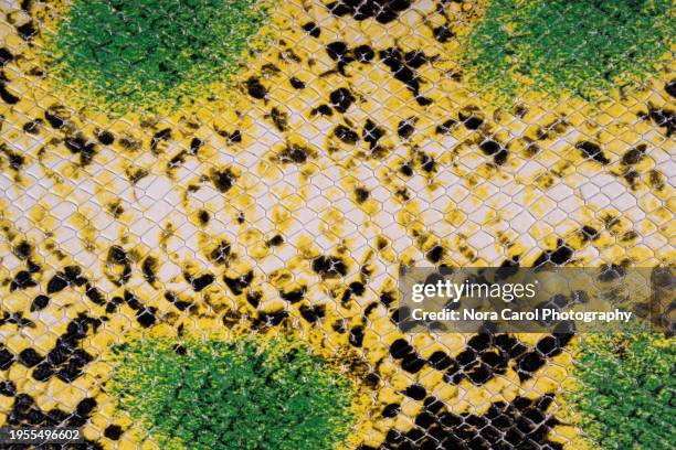 python snake neon colored leather - rough scale python fotografías e imágenes de stock