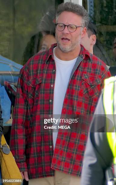Seth Rogen Cap 10,186 Seth Rogen Photos Stock Photos, High-Res Pictures, and Images ...