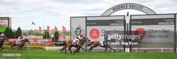 Akrotiri ridden by Celine Gaudray wins the Chandler Macleod Handicap at Moonee Valley Racecourse on January 27, 2024 in Moonee Ponds, Australia.