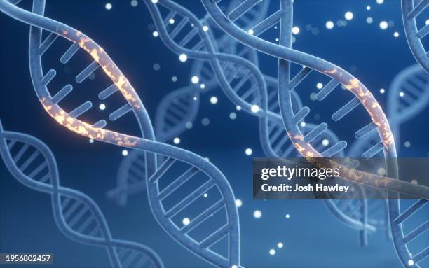 genomic dna molecular structure - mutation génétique photos et images de collection