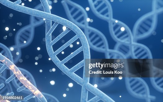 Science biotechnology DNA chromosome Science biotechnology DNA chromosome