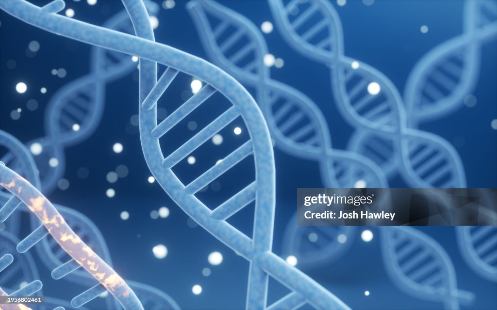 Science biotechnology DNA chromosome