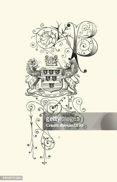 vintage illustration ornate capital letter b, with coat of arms - letter b monogram stock illustrations