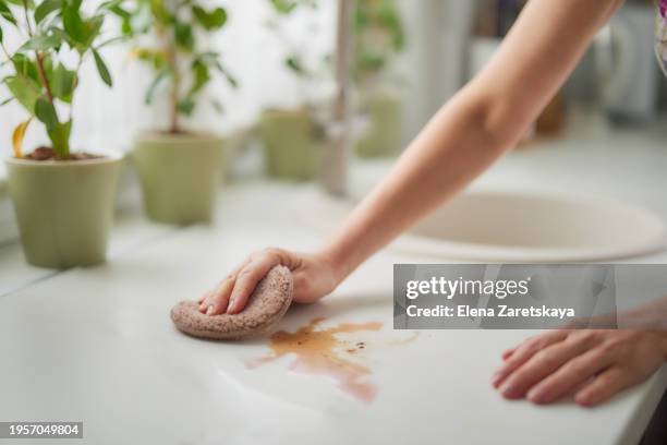 woman wiping a table close up - housework stock pictures, royalty-free photos & images