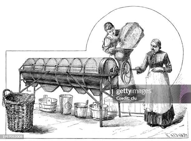 canned food production in braunschweig, two women working with a peas sorting machine - sorting machine stock illustrations
