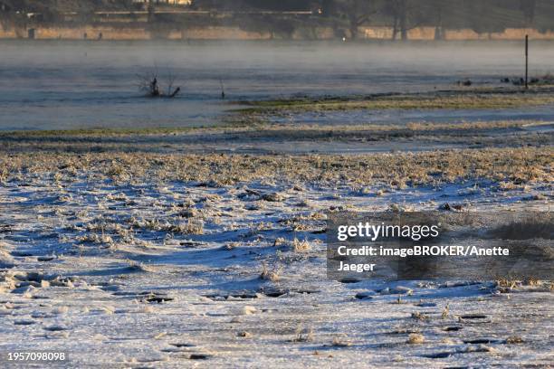 morning in winter in dresden, elbe, saxony, germany, europe - anette dawn stock pictures, royalty-free photos & images