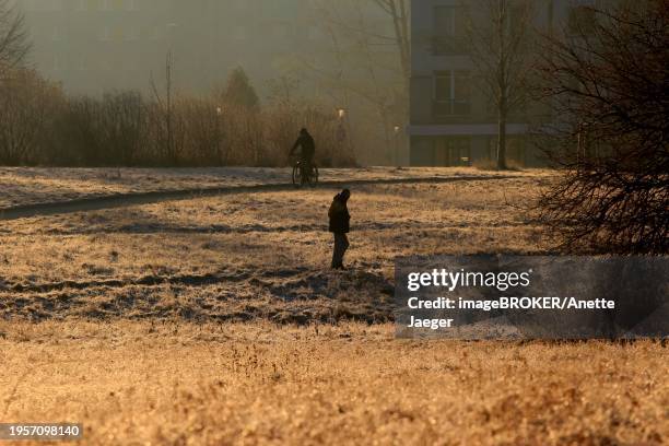 morning in winter in dresden, walk, saxony, germany, europe - anette dawn stock pictures, royalty-free photos & images