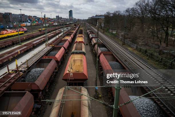 Freight cars stand parked at a freight yard during a nationwide strike by the GDL union of locomotive drivers and rail attendees on January 24, 2024...