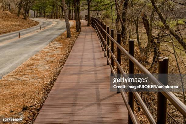 boardwalk beside two lane rural road in wilderness park, south korea, south korea, asia - footsteps on a boardwalk bildbanksfoton och bilder