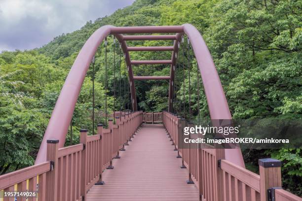 arched pedestrian bridge and boardwalk through recreational forest park, south korea, asia - footsteps on a boardwalk bildbanksfoton och bilder