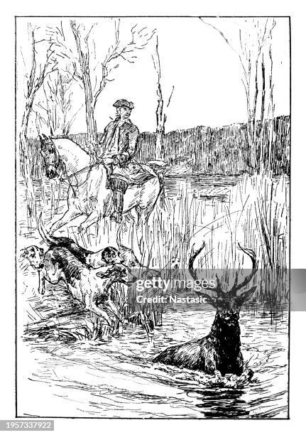 hunter on horse and dogs catch a deer caught in the water - vintage deer hunting stock illustrations