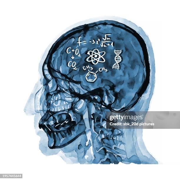 skull rx 006 - dna radiogram bildbanksfoton och bilder