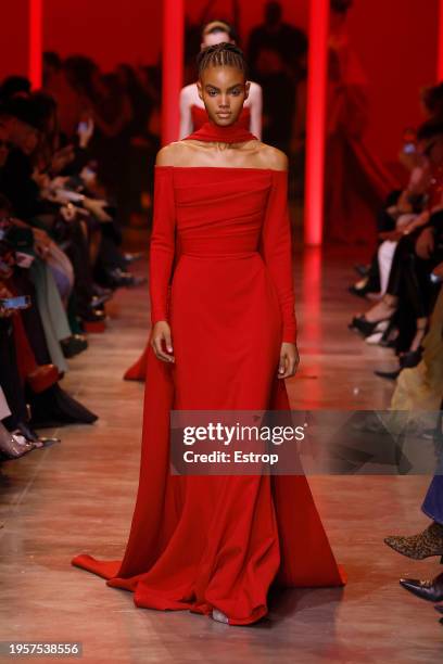 Model walks the runway during the Elie Saab Haute Couture Spring/Summer 2024 show as part of Paris Fashion Week on January 24, 2024 in Paris, France.