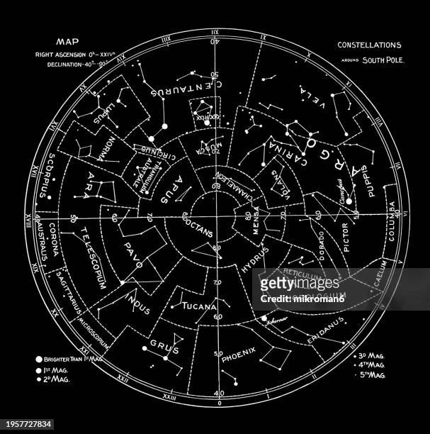 old engraved illustration of astronomy - characteristic constellation figures - arctic birds stock pictures, royalty-free photos & images