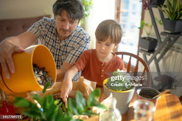 family taking care of plants at home in springtime. father teaching his child to plant. - masculinity undone stock pictures, royalty-free photos & images