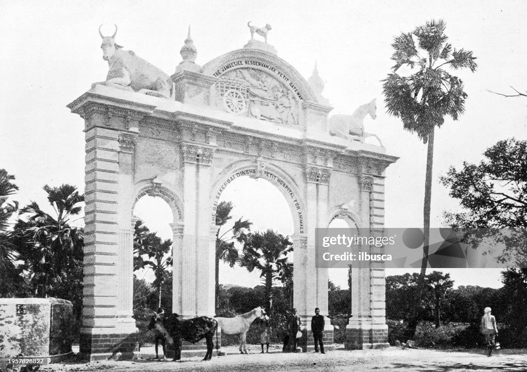 People and landmarks of India in 1895: Hospital for animals, Bombay