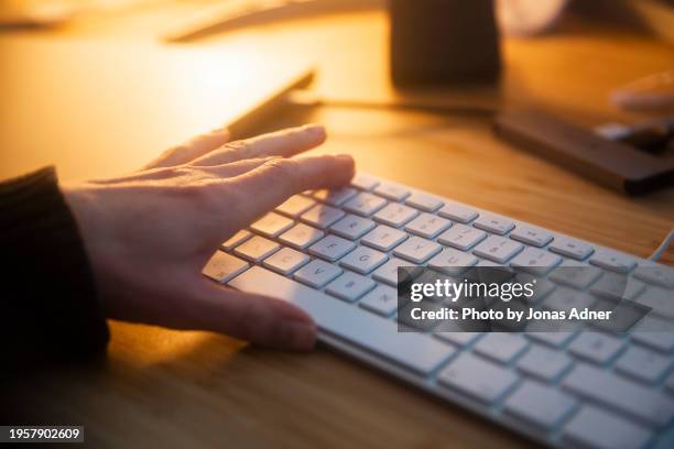 using the computor keyboard - computor bildbanksfoton och bilder