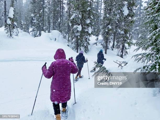 snoeshoeing through a snowstorm - winter sport walk old stock pictures, royalty-free photos & images