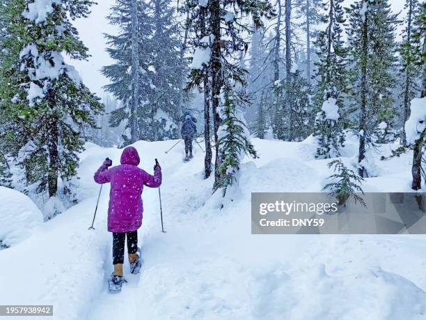 snoeshoeing through a snowstorm - winter sport walk old stock pictures, royalty-free photos & images