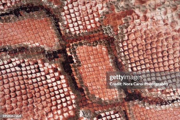 python snake skin leather texture - rough scale python fotografías e imágenes de stock