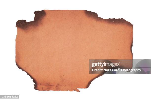 burnt parchment background on white background - brulé photos et images de collection