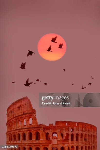 flock of bird over colosseum - rome empire stock pictures, royalty-free photos & images