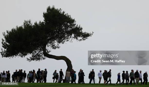 General view of the tree on the sixth fairway during the first round of the Farmers Insurance Open on the Torrey Pines South Course on January 24,...