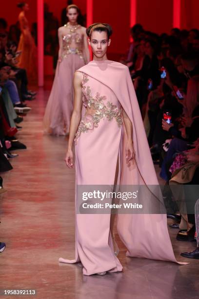 Model walks the runway during the Elie Saab Haute Couture Spring/Summer 2024 show as part of Paris Fashion Week on January 24, 2024 in Paris, France.