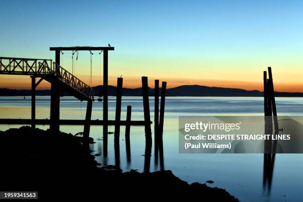 tranquility in the golden hour - golden-colombie-britannique photos et images de collection