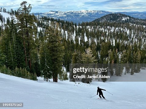 Lone Skier In Black Making A Turn On A Groomed Run In The Forested Mountains Of Northstar Ski Resort, Truckee Tahoe California Tourism, Winter Activity, Snow Sports Lone Skier In Black Making A Turn On A Groomed Run In The Forested Mountains Of Northstar Ski Resort, Truckee Tahoe California Tourism, Winter Activity, Snow Sports
