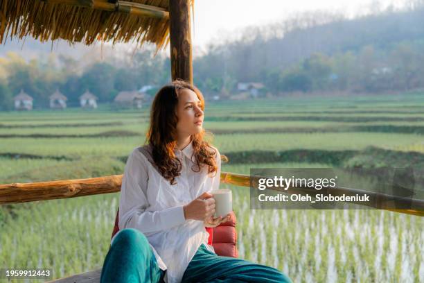 serene woman drinking tea enjoying the view on rice terraces - laos stock pictures, royalty-free photos & images