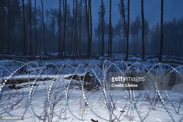 Barbed anti-personnel wire is seen where the reconnaissance battalion is analyzing the front edge of the forest, looking for a place for...