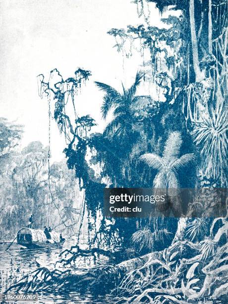 amazonas - bundesstaat amazonas brasilien illustrationen stock-grafiken, -clipart, -cartoons und -symbole