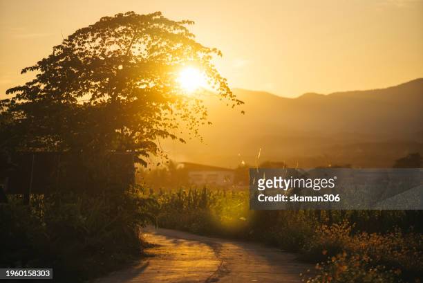 scenic beauty of sunset over mountains and agricultural fields: capturing the essence of golden hour in rural landscape - 岩手山 ストックフォトと画像